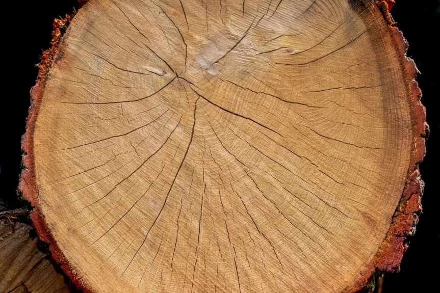 Beherzt älter werden