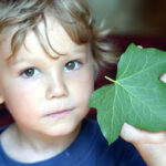 Spiele für die Sinne